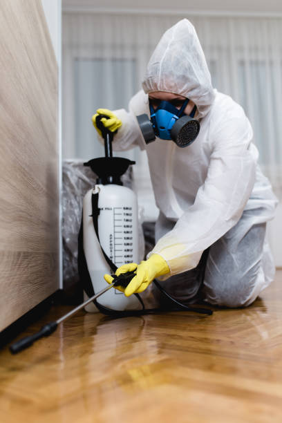 Professional Pest Control in Wedgefield, FL